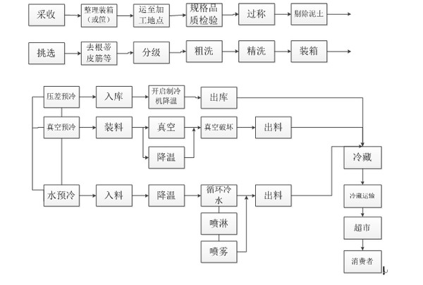 农产品冷链物流预冷流程