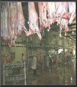 [ 冷链技术 ] 肉类的冷藏库防腐保鲜技术